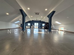Poslovni prostor: Zagreb (Odra), 240 m2 (iznajmljivanje)