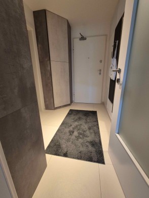 2 soban stan 47 m2 sa VPM (Ul. Milana Pavelića) novogradnja (iznajmljivanje)